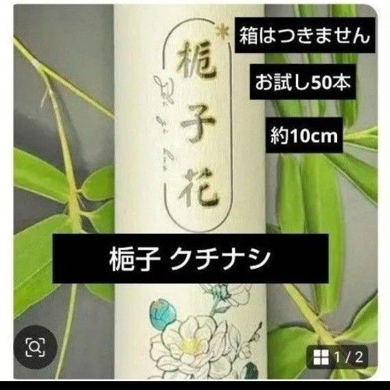 お試し線香 梔子 クチナシ ガーデニア 小分け50本 お香 お供え サンプル