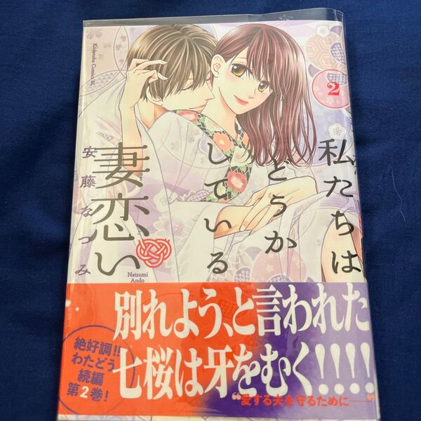 私たちはどうかしている 妻恋い 2 (BE LOVE KC) 安藤なつみ