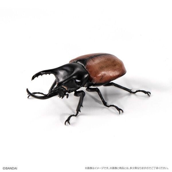 かぶとむし08 いきもの大図鑑 サンボンツノカブト オンライン版