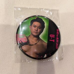 U-T 缶バッジ ドラゴンゲート DEAD or ALIVE 2025