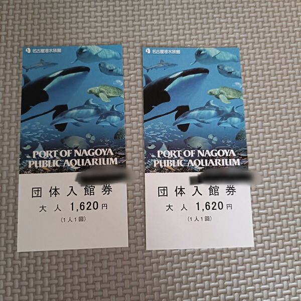 名古屋港水族館 入館券 大人 2枚 チケット 一般