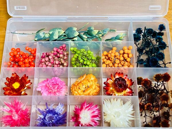 小花15種類 ハーバリウム花材 ハンドメイド レジンアクセサリー ミニフラワー