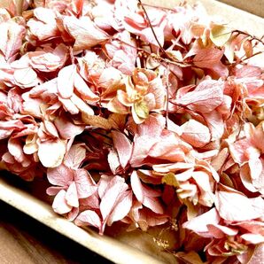 訳あり小花 紫陽花 花材 ハンドメイド プリザーブドフラワー アジサイ