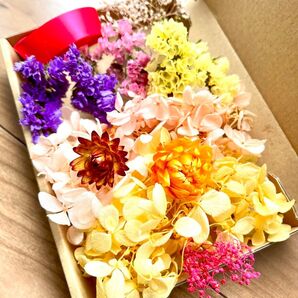 ピンクとイエローの紫陽花と3色のスターチス、リボン、ミニかすみ草 小花 花材