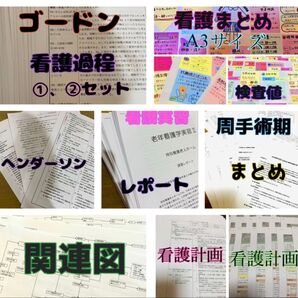 看護資料セット