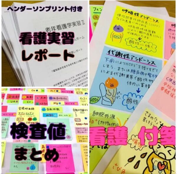 看護付箋ノート 実習レポート 検査値まとめ ヘンダーソン