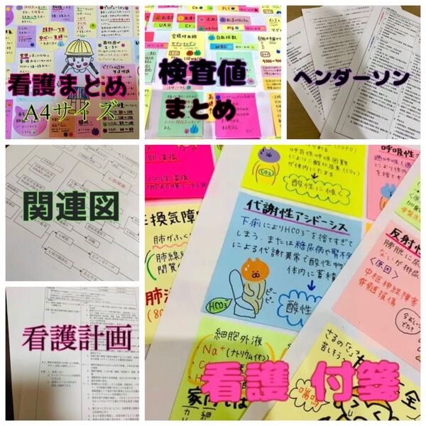看護付箋ノート 看護計画 ヘンダーソン 関連図 検査値まとめ 看護まとめ