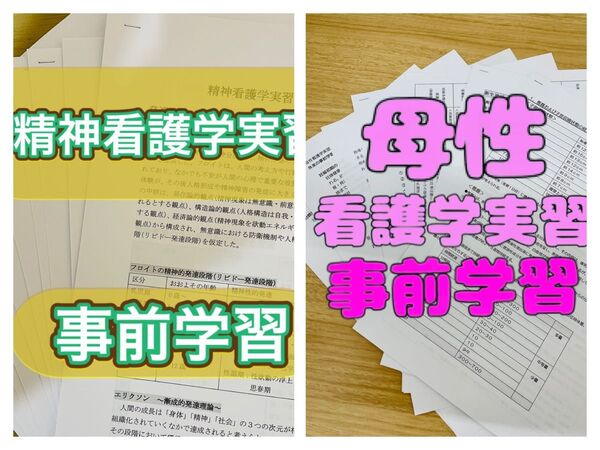 精神看護学実習事前学習 母性看護学実習事前学習