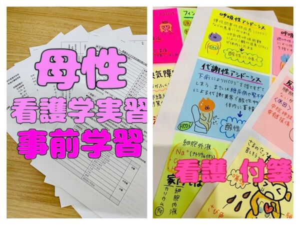 看護付箋ノート 母性看護学実習事前学習