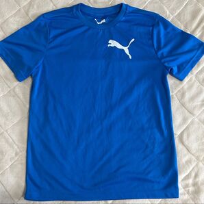 プーマ PUMA 吸湿速乾 Tシャツ サッカー フットサル スポーツ ランニング ウォーキング フィットネス 未使用 新品 美品