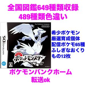 ポケットモンスター ブラック やり込み