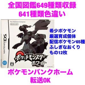 ポケットモンスター ホワイト やり込み