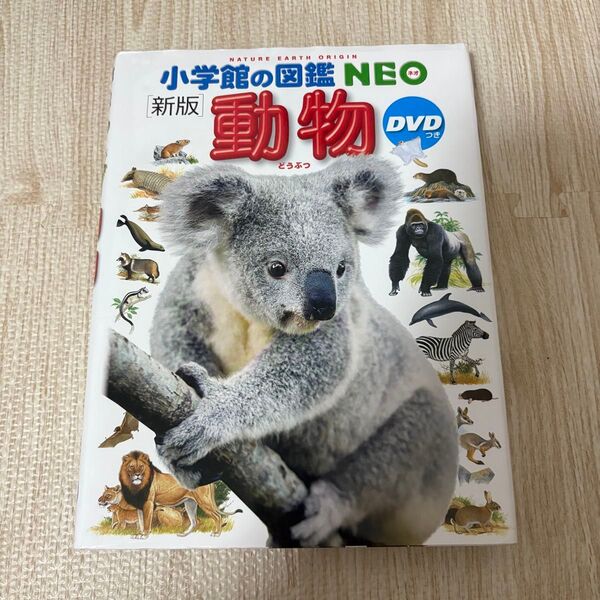 小学館の図鑑NEO 動物 小学館 図鑑 DVDなし