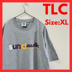 【美品】古着 カレッジロゴ Tシャツ アリゾナ州立大学 メンズ グレー XL