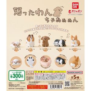 怒ったわんちゃあぁぁん ガチャ コーギー シーズー シェルティ セット