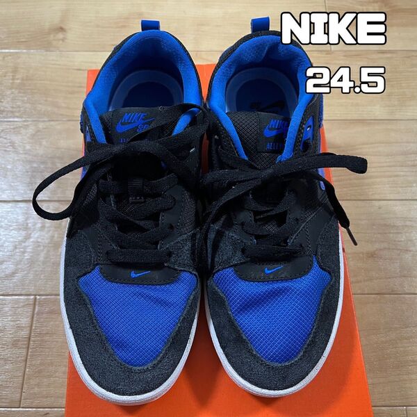 NIKE SB Alleyoop アリウープ ナイキ スニーカー 24.5
