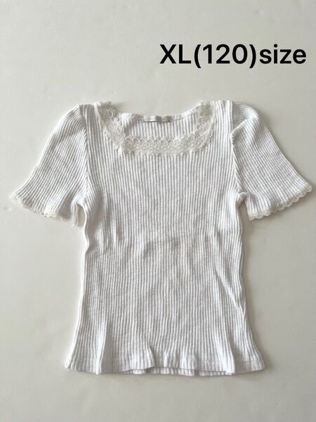韓国 poisson(ポワソン) レース リブ トップス 半袖 カットソー
