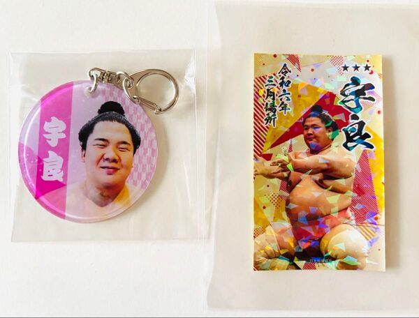 大相撲ガチャ 宇良関やわらかクリアチャーム & ステッカー 五月場所 匿名配送 キーホルダー