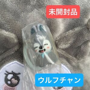 スキズ ガチャ めじるしアクセサリー SKZOO ウルフチャン バンチャン
