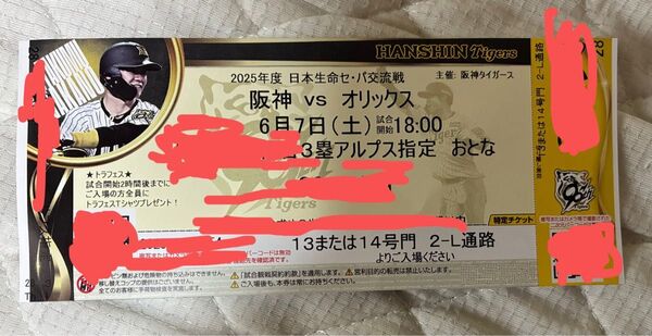 阪神vsオリックス 甲子園6/7(土)18時 3塁アルプス指定席 おとな