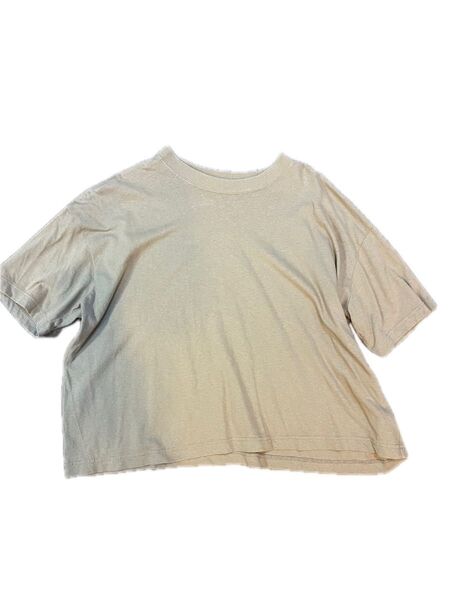ショート丈Tシャツ ベージュ