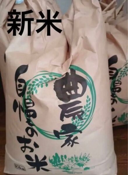令和6年 栃木産減農薬米 コシヒカリ10キロ玄米