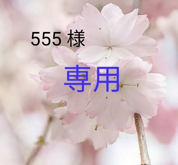 DHC 大豆イソフラボンエクオール30日分×12袋 個数変更可