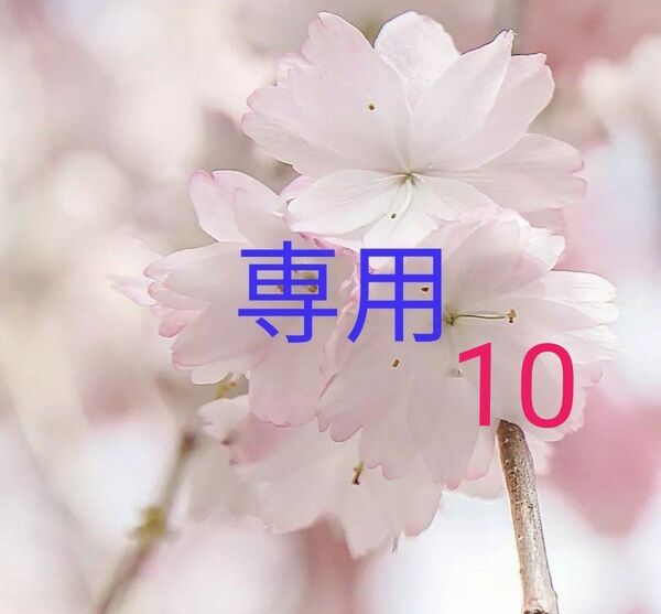 DHC 大豆イソフラボンエクオール30日分×10袋 個数変更可