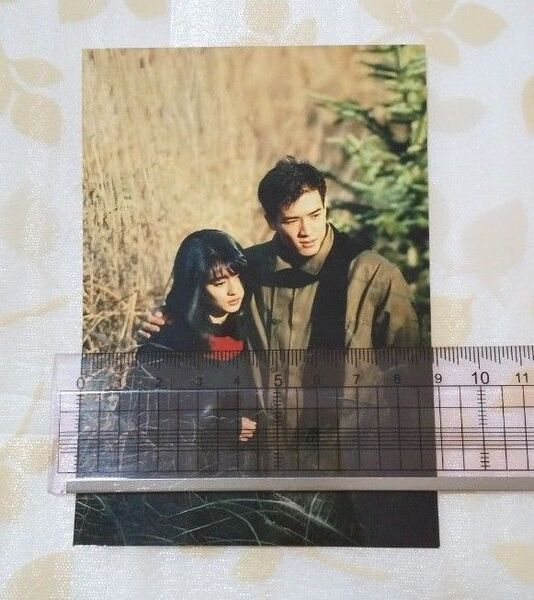 中山美穂 L判 写真