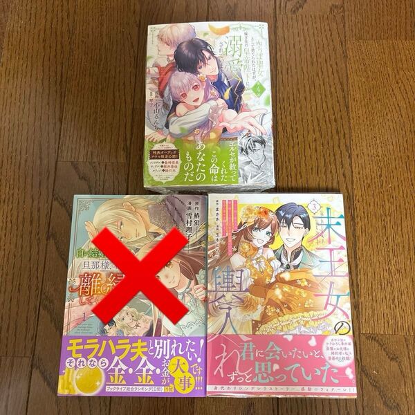 空っぽ聖女として捨てられたはずが、嫁ぎ先の皇帝陛下に溺愛されています4/末王女の輿入れ 3