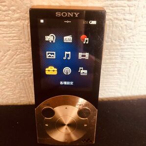 動作確認済 初期化済 SONY ウォークマン NW-S744 8GB ソニー デジタルMP3オーディオプレーヤー WALKMAN