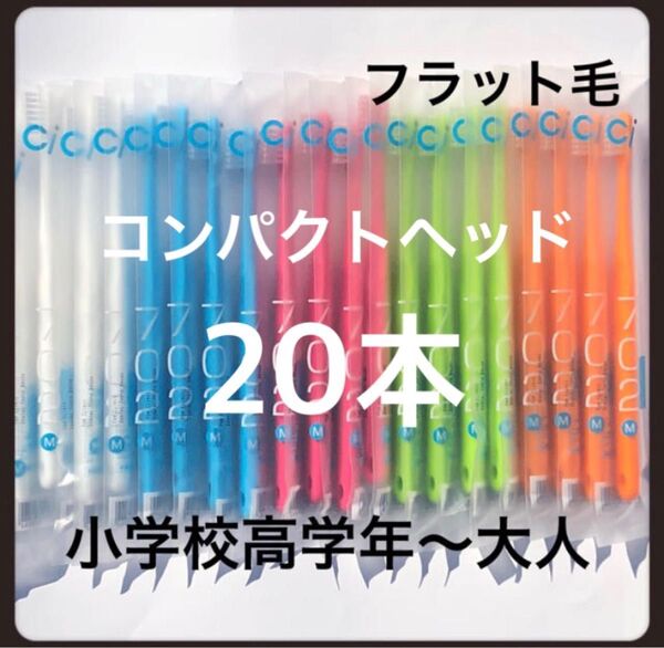 Ci702 コンパクトヘッド(フラット毛)20本