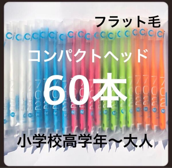 Ci702 コンパクトヘッド(フラット毛)60本 歯科医院専売歯ブラシ
