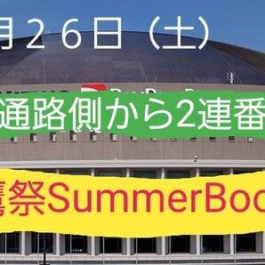 7月26日(土)福岡ソフトバンクホークス×オリックス。『鷹祭SummerBoost』ホームランホークシート通路側から2枚連番