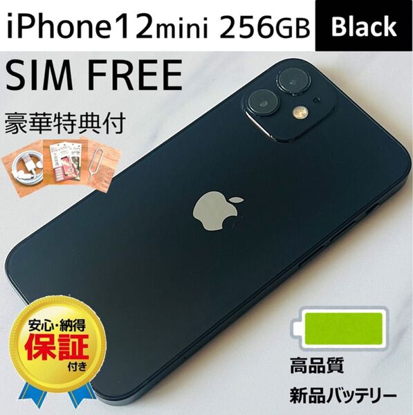 iPhone12mini 本体 Black 256GB SIMフリー