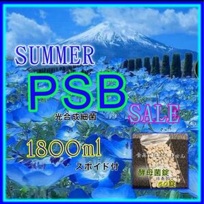 ★ 初夏のPSB SALE 光合成細菌 1800ml&酵母菌50錠 培養セット
