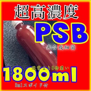 ☆ 驚きの濃さ!☆ 超高濃度 光合成細菌PSB種菌 1800ml &スポイド付