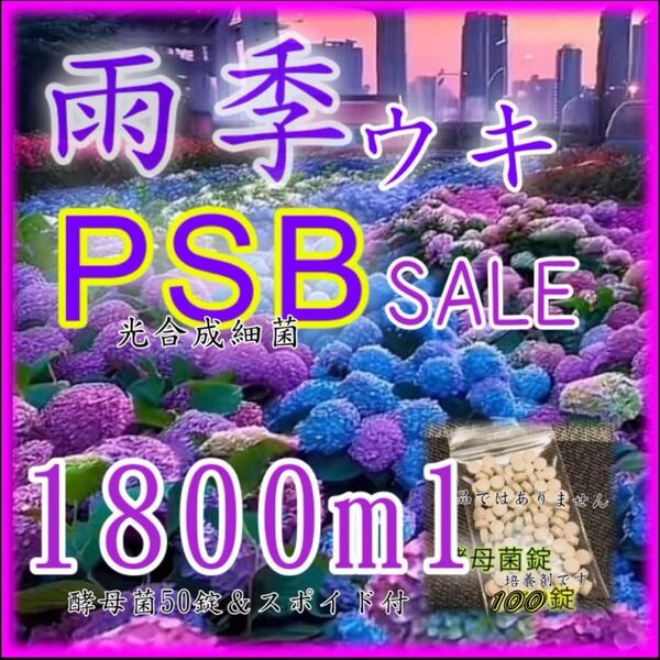 ☆ 雨季ウキ SALE PSB1800ml&酵母菌錠100錠 スポイト培養セット