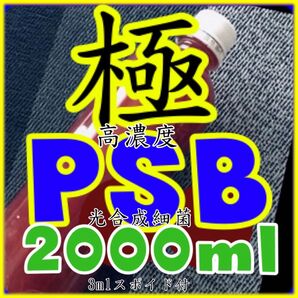 ☆ 極高濃度 光合成細菌PSB種菌 増量2000ml &スポイド付 通常1100円商品です。