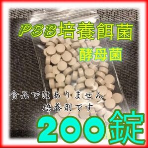 ★ バクテリアPSBの餌菌 培養剤 200錠