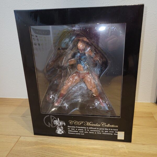 CCP NO.50 キン肉マン 戦闘服完全武装 Ver. フィギュア王究極限定 Ver. 国内正規品