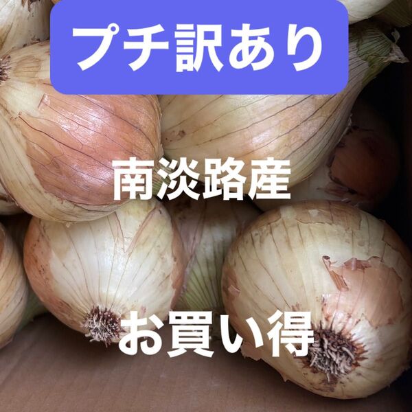 プチ訳あり南淡路産極わせ玉ねぎ10K