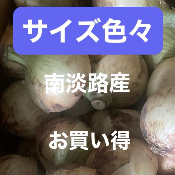 南淡路産極わせ玉ねぎ10K秀品