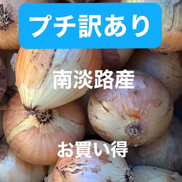プチ訳あり南淡路産極わせ玉ねぎ5K