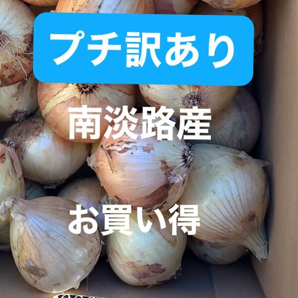 プチ訳あり南淡路産極わせ玉ねぎ5K
