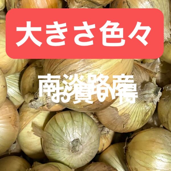 プチ訳あり南淡路産早生玉ねぎ20K