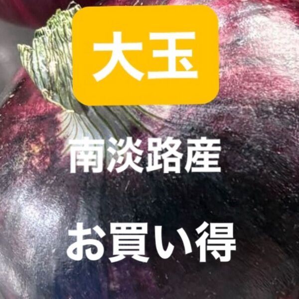南淡路産赤玉秀品5K