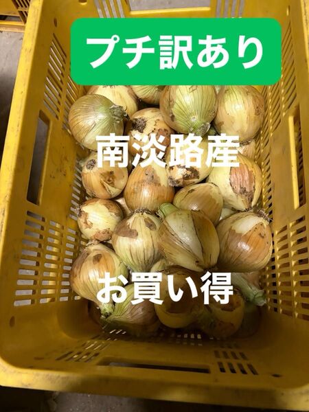 プチ訳あり南淡路産極わせ玉ねぎ10K