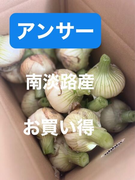 南淡路産なかてたまねぎ10K秀品