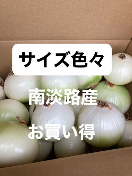 南淡路産極わせ玉ねぎ5K
